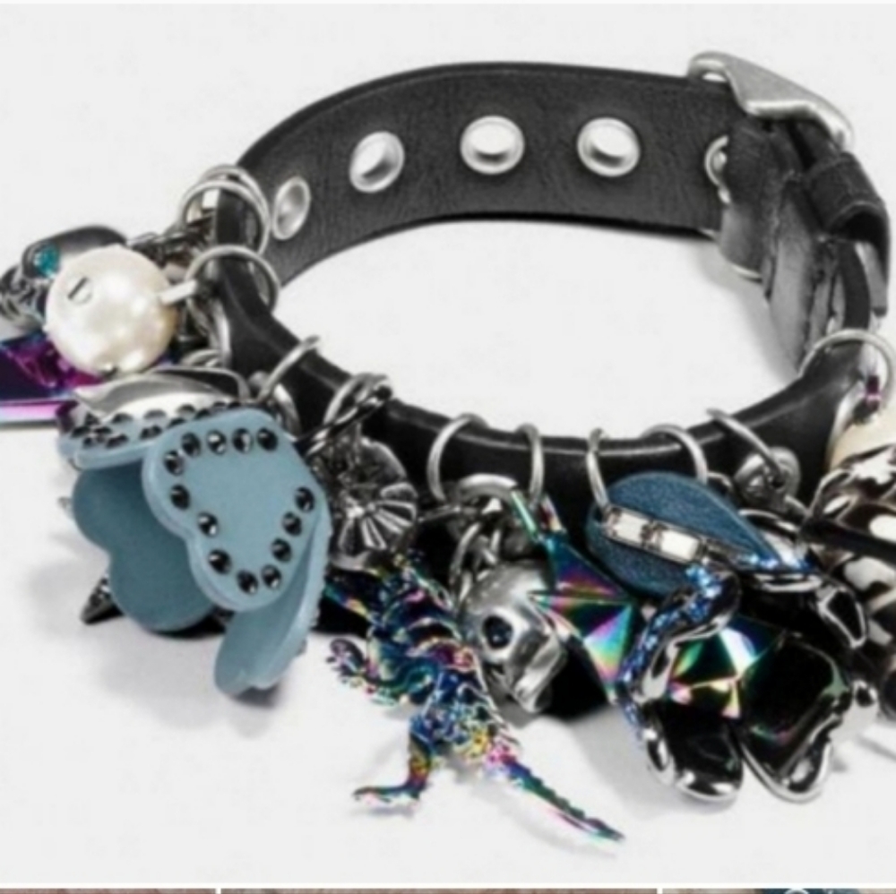 WANT TO BUY!!! COACH BRACELET!!